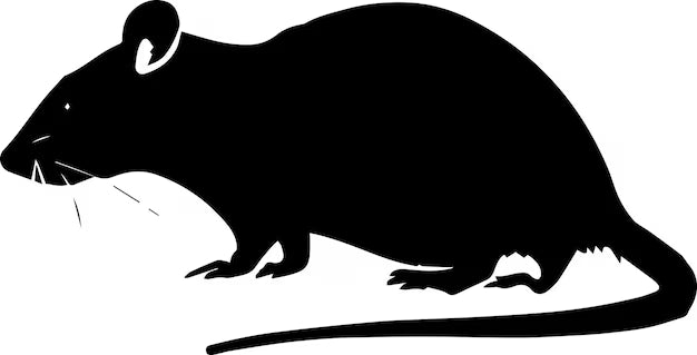FROZEN RATS